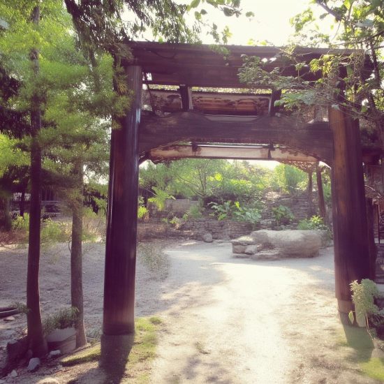 盲盒小程序成品源码价格 | 市场分析与投资指南-济南壹软网络科技