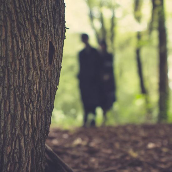 树洞陪陪心理对话 | 匿名倾诉与专业引导的融合 | 心理健康新途径-济南壹软网络科技